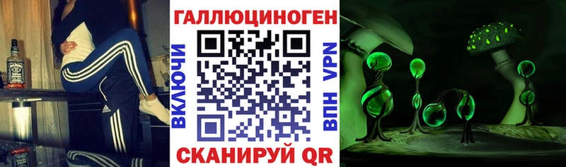 магазин продажи наркотиков  Гдов  Псилоцибиновые грибы Cubensis 